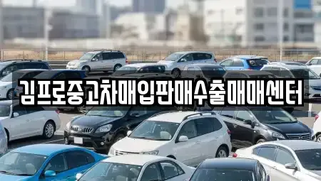 경남 창녕군 대합면 중고차 전문 김프로중고차매입판매수출매매센터