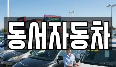 경남 창원시 마산합포구 성호동 장기렌트카,중고차,렌트카,단기렌트카,중고차매입,중고차매매