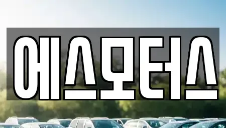 경남 창원시 마산합포구 성호동 중고차 전문 에스모터스