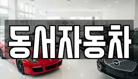 경남 창원시 성산구 가음동 중고차 전문 동서자동차