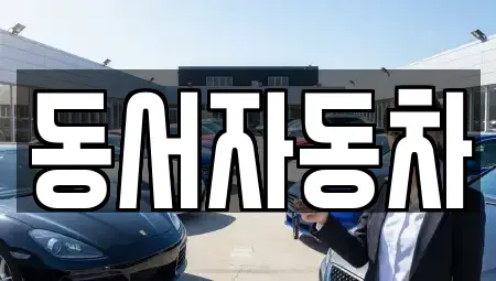 경남 창원시 성산구 남산동 중고차 전문 동서자동차