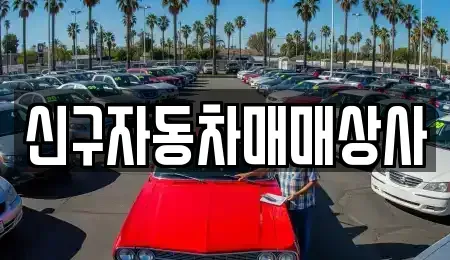 경남 창원시 성산구 남산동 중고차 전문 신구자동차매매상사