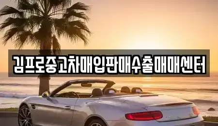 경남 창원시 성산구 남산동 중고차매입 전문 김프로중고차매입판매수출매매센터