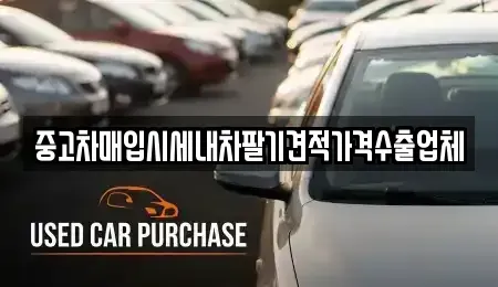 경남 창원시 성산구 남산동 중고차매입 전문 중고차매입시세내차팔기견적가격수출업체