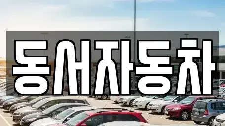 경남 창원시 성산구 반림동 중고차 전문 동서자동차