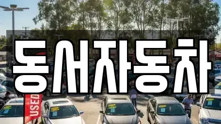 경남 창원시 의창구 동읍 중고차 전문 동서자동차