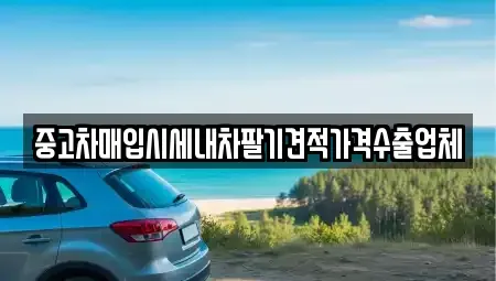 경남 창원시 의창구 동읍 중고차매입 전문 중고차매입시세내차팔기견적가격수출업체