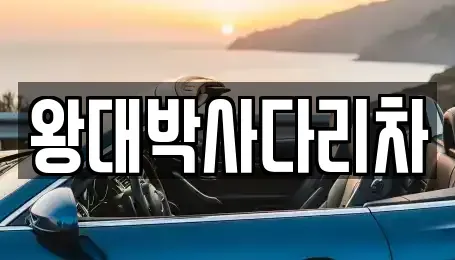 경남 창원시 진해구 대장동 중고차매입 전문 왕대박사다리차