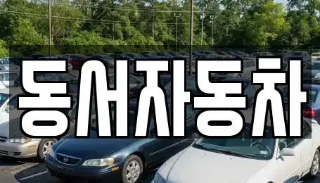 경남 하동군 진교면 중고차 전문 동서자동차