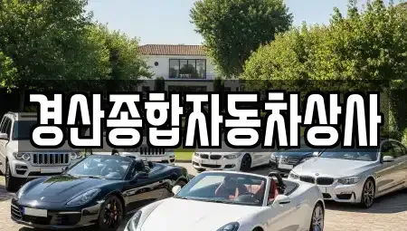 경북 경산시 임당동 중고차매매,단기렌트카,중고차매입,장기렌트카,중고차,렌트카