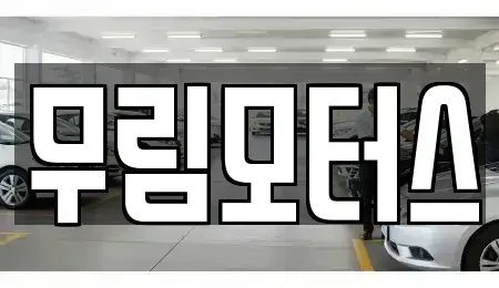 경북 경산시 정평동 중고차매매 전문 무림모터스