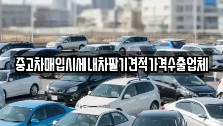 경북 경주시 인왕동 중고차매입 전문 중고차매입시세내차팔기견적가격수출업체