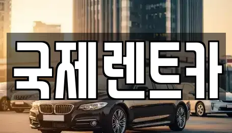 경북 구미시 거의동 렌트카 전문 국제렌트카
