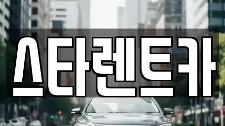 경북 구미시 거의동 렌트카 전문 스타렌트카
