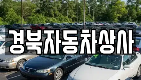 경북 구미시 거의동 중고차 전문 경북자동차상사