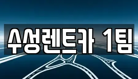 경북 구미시 양호동 렌트카 전문 수성렌트카 1팀