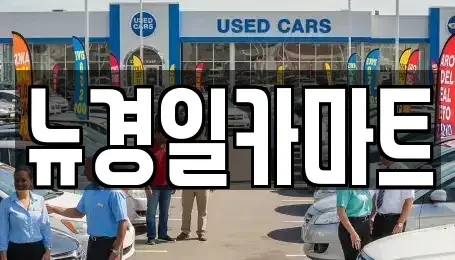경북 김천시 대광동 중고차 전문 뉴경일카마트