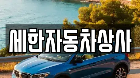 경북 김천시 대광동 중고차 전문 세한자동차상사