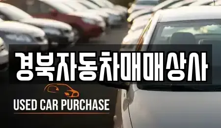경북 김천시 지좌동 중고차 전문 경북자동차매매상사