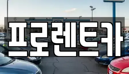 경북 안동시 와룡면 렌트카 전문 프로렌트카