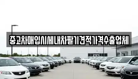 경북 안동시 와룡면 중고차 전문 중고차매입시세내차팔기견적가격수출업체