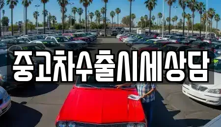 경북 안동시 와룡면 중고차 전문 중고차수출시세상담