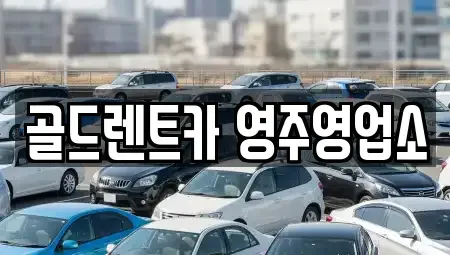 경북 영주시 문정동 렌트카 전문 골드렌트카 영주영업소