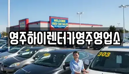 경북 영주시 문정동 렌트카 전문 영주하이렌터카영주영업소