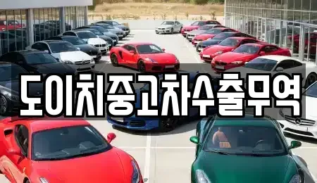 경북 영천시 임고면 중고차매매 전문 도이치중고차수출무역