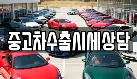 경북 영천시 임고면 중고차매매 전문 중고차수출시세상담