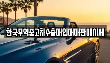 경북 영천시 임고면 중고차매입 전문 한국무역중고차수출매입매매판매시세