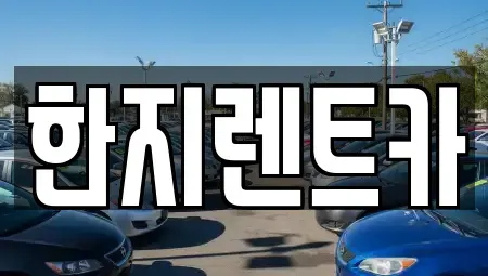 경북 포항시 남구 동촌동 렌트카 전문 한지렌트카
