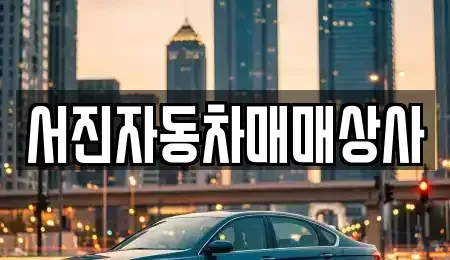 경북 포항시 남구 동촌동 중고차매매 전문 서진자동차매매상사