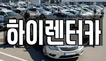 경북 포항시 남구 상도동 렌트카 전문 하이렌터카