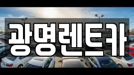 경북 포항시 북구 동빈1가 렌트카 전문 광명렌트카
