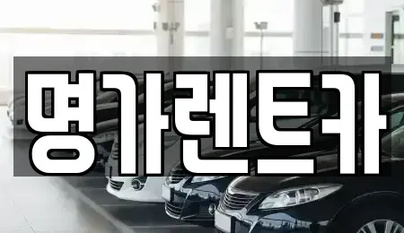 경북 포항시 북구 동빈1가 렌트카 전문 명가렌트카