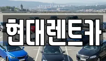 경북 포항시 북구 동빈1가 렌트카 전문 현대렌트카