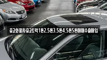 경북 포항시 북구 동빈1가 중고차매입 전문 중고화물차중고트럭1톤2.5톤3.5톤4.5톤5톤매매수출매입