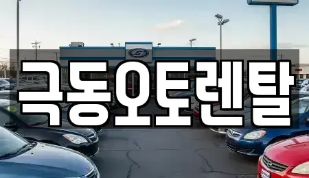 경북 포항시 북구 상원동 렌트카 전문 극동오토렌탈