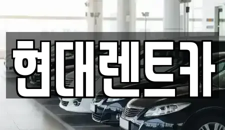 경북 포항시 북구 상원동 렌트카 전문 현대렌트카