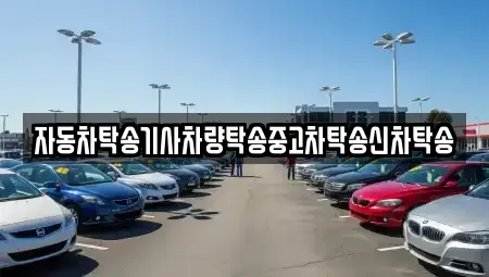 경상남도 거제시 장승포동 중고차 전문 자동차탁송기사차량탁송중고차탁송신차탁송