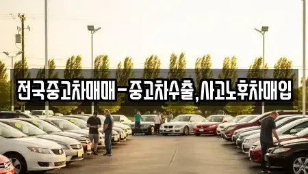 경상남도 거제시 장승포동 중고차매매 전문 전국중고차매매-중고차수출,사고노후차매입