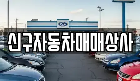 경상남도 고성군 구만면 중고차 전문 신구자동차매매상사