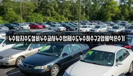 경상남도 고성군 구만면 중고차매입 전문 누수탐지수도설비누수공사누수업체수도누수하수구고압세척온수기