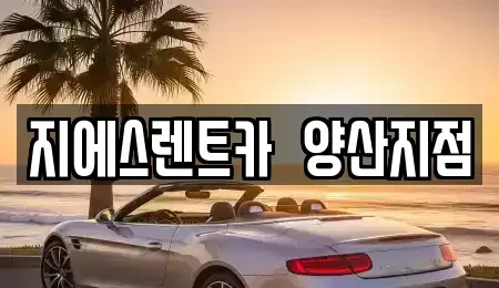 경상남도 김해시 대동면 렌트카 전문 지에스렌트카  양산지점
