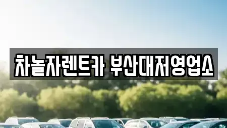 경상남도 김해시 대동면 렌트카 전문 차놀자렌트카 부산대저영업소