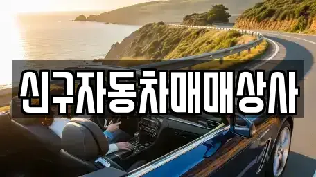 경상남도 김해시 대동면 중고차매매 전문 신구자동차매매상사