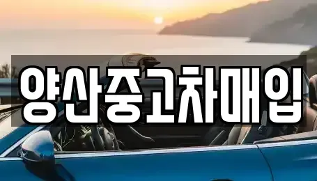 경상남도 김해시 대동면 단기렌트카,중고차매입,중고차매매,중고차,렌트카,장기렌트카
