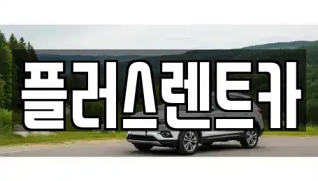 경상남도 김해시 어방동 렌트카 전문 플러스렌트카