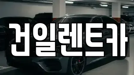 경상남도 김해시 어방동 장기렌트카 전문 건일렌트카